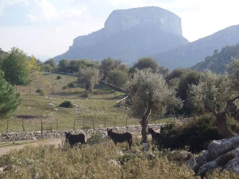 Hostal Ca'N Tiu Alaró 2*,  Spanje